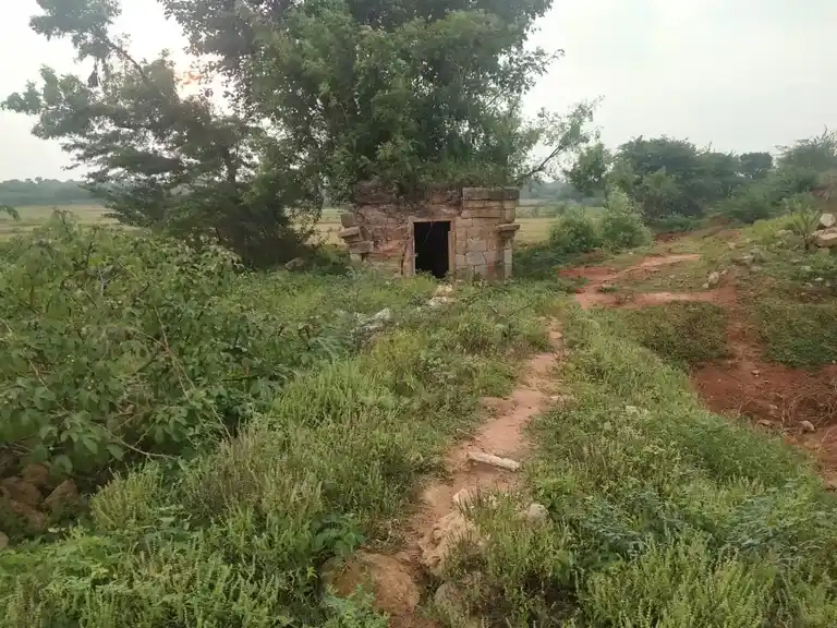 Arulmigu Kailasanathar Temple, Nagamangalam - 621701 அருள்மிகு கைலாசநாதர் திருக்கோயில், Nagamangalam - 621701, Ariyalur - Ancient Temple Architecture and History Image 3