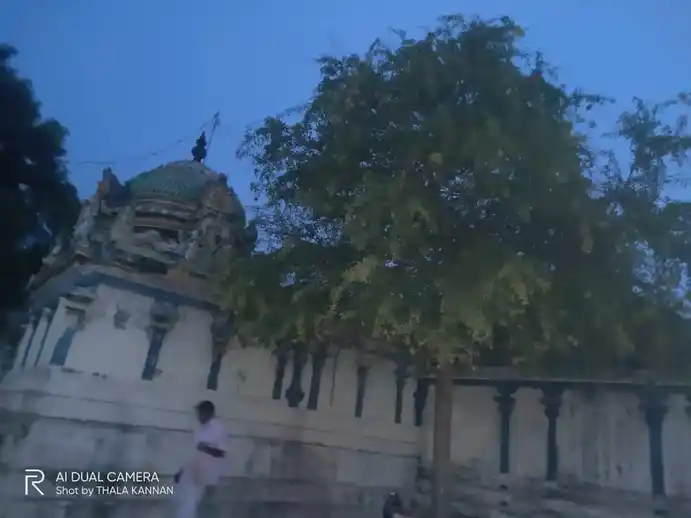 Arulmigu Kailasanathar Temple, Nattarmangalam - 608301 அருள்மிகு கைலாசநாதர் திருக்கோயில், Nattarmangalam - 608301, Cuddalore - Ancient Temple Architecture and History Image 7