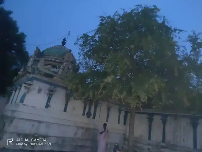 Arulmigu Kailasanathar Temple, Nattarmangalam - 608301 அருள்மிகு கைலாசநாதர் திருக்கோயில், Nattarmangalam - 608301, Cuddalore - Ancient Temple Architecture and History Image 11