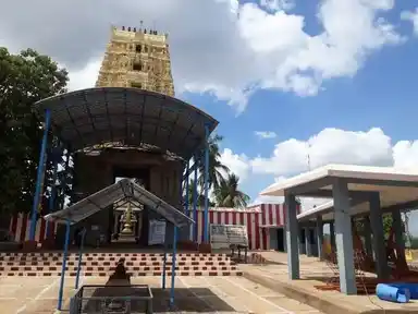 Arulmigu Kailasanathar Temple, Nedunkudi, Thirumayam Taluk - 622209 அருள்மிகு கைலாசநாதர் திருக்கோயில், நெடுங்குடி, திருமயம் வட்டம் - 622209, Pudukkottai - Ancient Temple Architecture and History Image 2