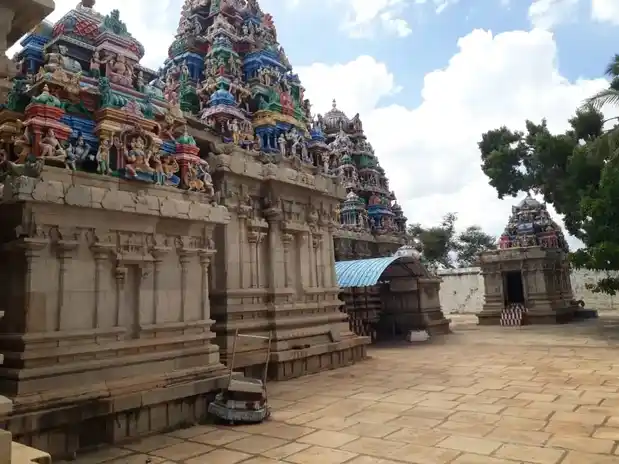 Arulmigu Kailasanathar Temple, Nedunkudi, Thirumayam Taluk - 622209 அருள்மிகு கைலாசநாதர் திருக்கோயில், நெடுங்குடி, திருமயம் வட்டம் - 622209, Pudukkottai - Ancient Temple Architecture and History Image 6