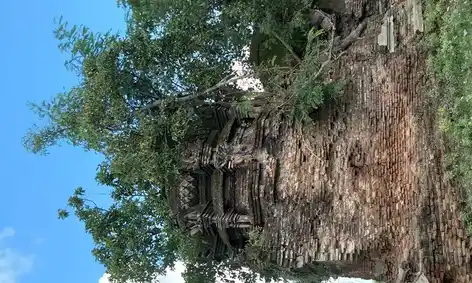 Arulmigu Kailasanathar Temple, Palaiyaatham - 614711 அருள்மிகு கைலாசநாதர் திருக்கோயில், Palaiyaatham - 614711, Thiruvarur - Ancient Temple Architecture and History Image 5