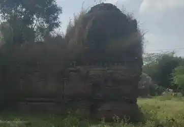 Arulmigu Kailasanathar Temple, Palavanakkudi - 610001 அருள்மிகு கைலாசநாதர் திருக்கோயில், Palavanakkudi - 610001, Thiruvarur - Ancient Temple Architecture and History Image 4