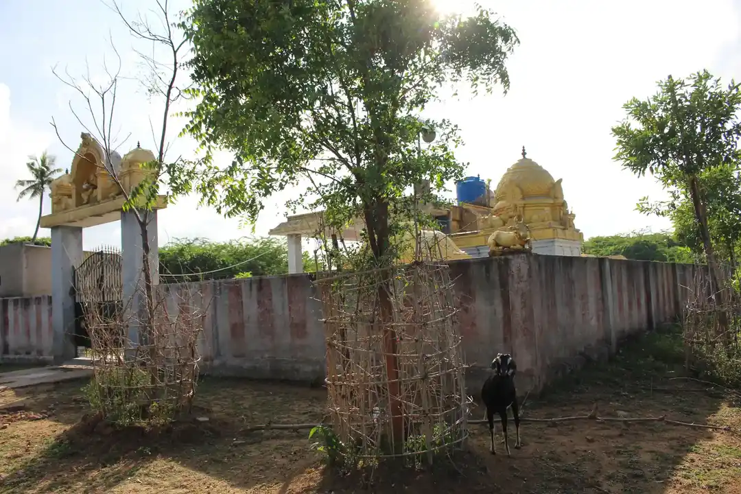 Arulmigu Kailasanathar Temple, Paruthicheri - 612605 அருள்மிகு கைலாசநாதர் திருக்கோயில், Paruthicheri - 612605, Thanjavur - Ancient Temple Architecture and History Image 2