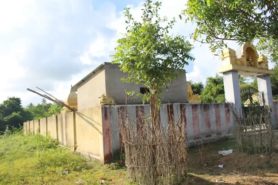 Arulmigu Kailasanathar Temple, Paruthicheri - 612605 அருள்மிகு கைலாசநாதர் திருக்கோயில், Paruthicheri - 612605, Thanjavur - Ancient Temple Architecture and History Image 3