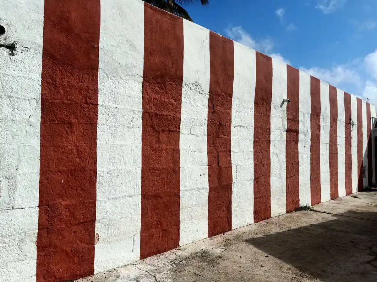 Arulmigu Kailasanathar Temple, Pasuvanthanai - 628718 அருள்மிகு கைலாசநாதசுவாமி திருக்கோயில், Pasuvanthanai - 628718, Thoothukudi - Ancient Temple Architecture and History Image 3