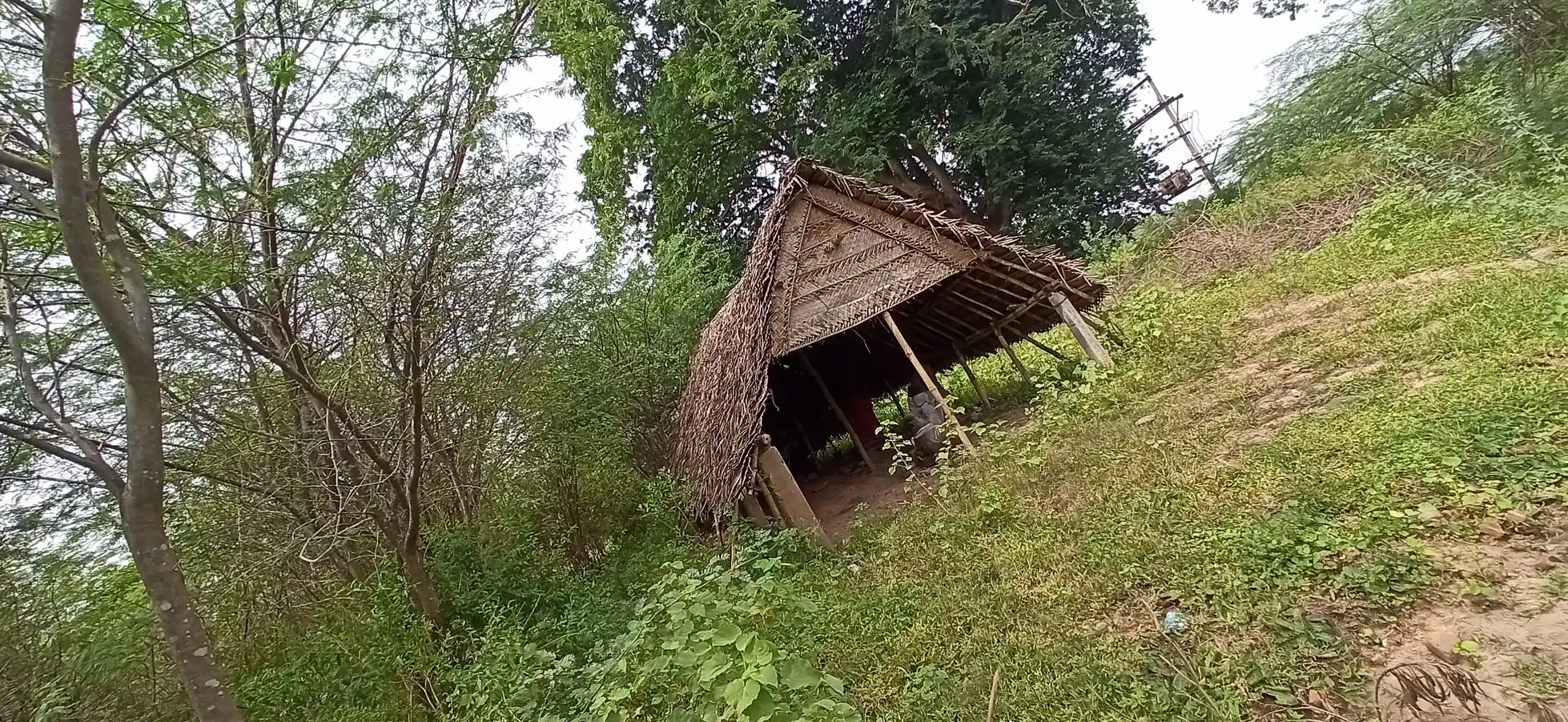 Arulmigu Kailasanathar Temple, Puduppattur - 610106 அருள்மிகு கைலாசநாதர் திருக்கோயில், Puduppattur - 610106, Thiruvarur - Ancient Temple Architecture and History Image 2