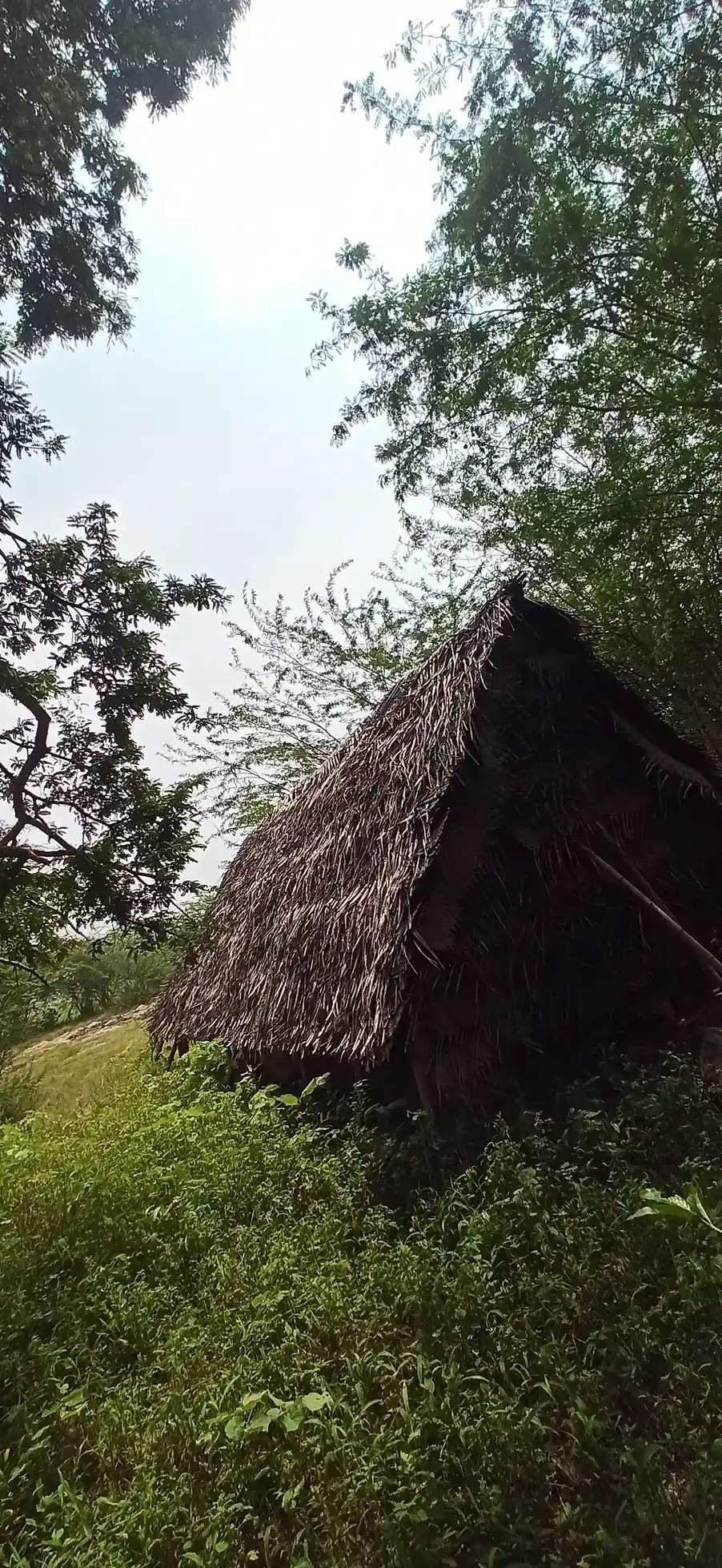 Arulmigu Kailasanathar Temple, Puduppattur - 610106 அருள்மிகு கைலாசநாதர் திருக்கோயில், Puduppattur - 610106, Thiruvarur - Ancient Temple Architecture and History Image 4
