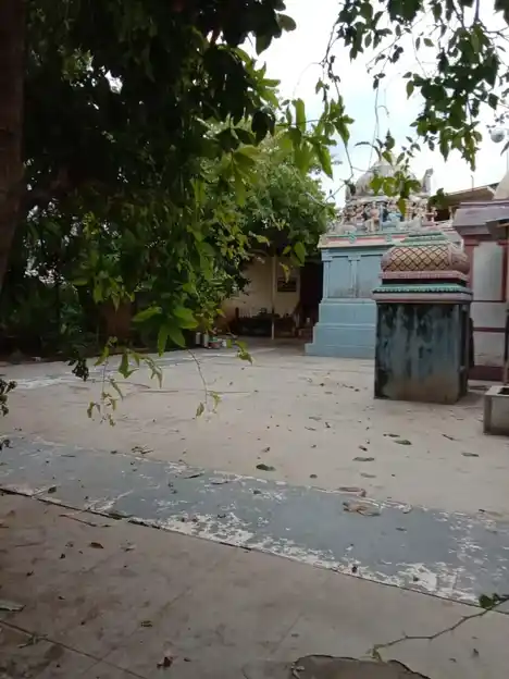 Arulmigu Kailasanathar Temple, Punnainallur, Thanjavur - 613501 அருள்மிகு கைலாசநாதர் திருக்கோயில், Punnainallur, Thanjavur - 613501, Thanjavur - Ancient Temple Architecture and History Image 7