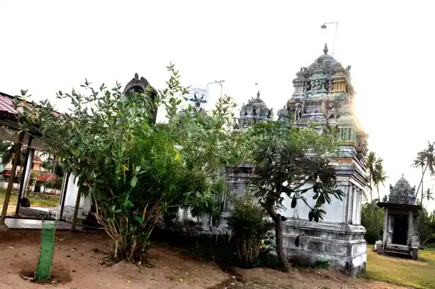 Arulmigu Kailasanathar Temple, Pushkarani - 614810 அருள்மிகு கைலாசநாதர் திருக்கோயில், புஷ்காரனி - 614810, Nagapattinam - Ancient Temple Architecture and History Image 2