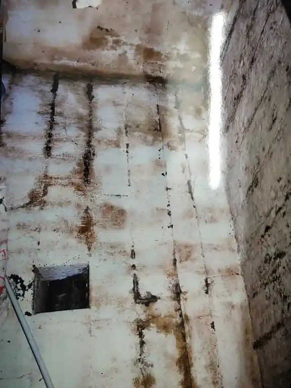 Arulmigu Kailasanathar Temple, Rasipuram - 637408 அருள்மிகு &nbspகைலாசநாதர் &nbspதிருக்கோவில், ராசிபுரம் - 637408, Namakkal - Ancient Temple Architecture and History Image 4