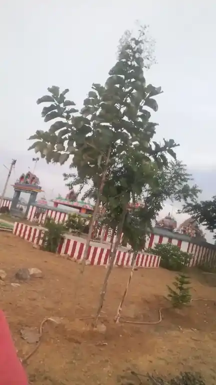 Arulmigu Kailasanathar Temple, Saradamangalam, Saradamangalam - 621651