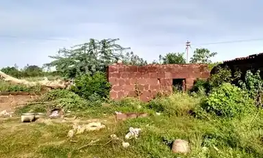 Arulmigu Kailasanathar Temple, Sothuppalai, Gandarvakottai Taluk - 622203 அருள்மிகு கைலாசநாதர் திருக்கோயில், சோத்துப்பாளை, கந்தர்வக்கோட்டை வட்டம் - 622203, Pudukkottai - Ancient Temple Architecture and History Image 2