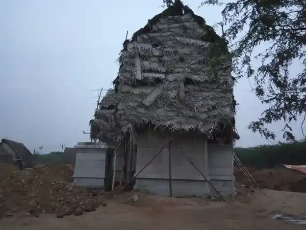 Arulmigu Kailasanathar Temple, Vagavasal - 622501 அருள்மிகு கைலாசநாதர் திருக்கோயில், வாகவாசல் - 622501, Pudukkottai - Ancient Temple Architecture and History Image 2