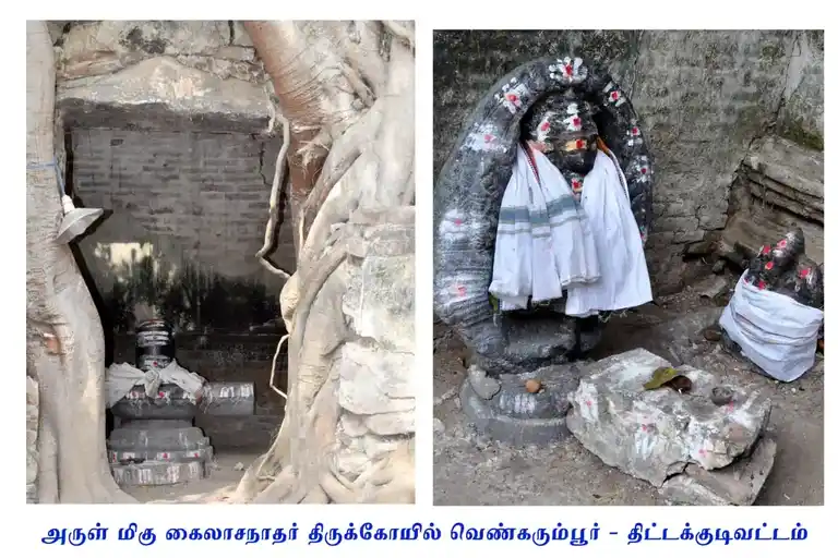 Arulmigu Kailasanathar Temple, Venkarumbur - 606105 Temple