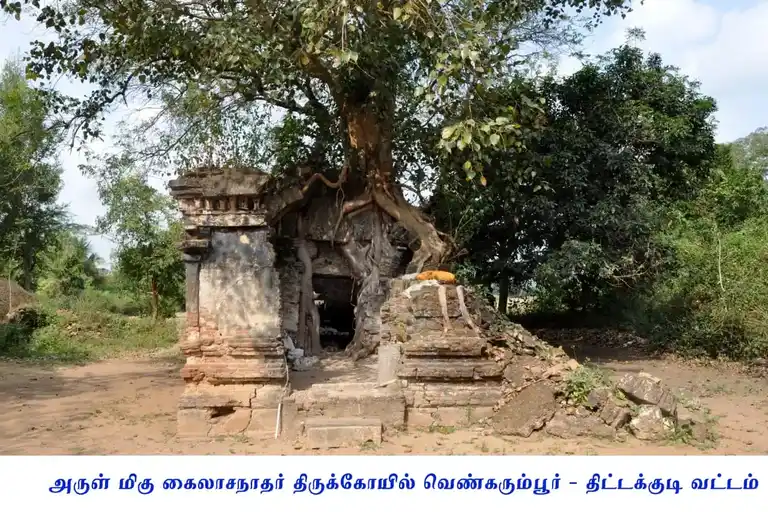 Arulmigu Kailasanathar Temple, Venkarumbur - 606105 அருள்மிகு கைலாசநாதர் திருக்கோயில், Venkarumbur - 606105, Cuddalore - Ancient Temple Architecture and History Image 2