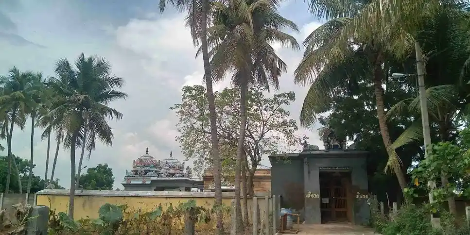 Arulmigu Kailasanathar Varatharajaparumal (M) Nangaiyaramman (E) Temples, Lalgudi - 621601 அருள்மிகு கைலாசநாதர்வரதராஜப்பெருமாள் திருக்கோயில், Lalgudi - 621601, Thiruchirappalli - Ancient Temple Architecture and History Image 3