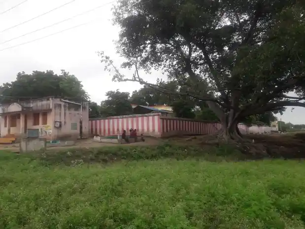 Arulmigu Kailasanathasamy Temple, Kailasapuram - 625535 அருள்மிகு கைலாசநாதசுவாமி திருக்கோயில், Kailasapuram - 625535, Madurai - Ancient Temple Architecture and History Image 3