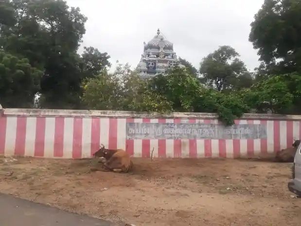 Arulmigu Kailasanathasamy Temple, Kailasapuram - 625535 அருள்மிகு கைலாசநாதசுவாமி திருக்கோயில், Kailasapuram - 625535, Madurai - Ancient Temple Architecture and History Image 4