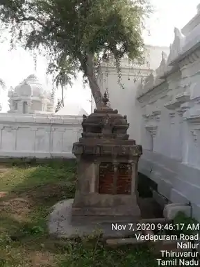 Arulmigu Kailasanathaswamy Temple, 74.Nallur - 614717 அருள்மிகு கைலாசநாதசாமி திருக்கோயில், நல்லூர் - 614717, Thiruvarur - Ancient Temple Architecture and History Image 9