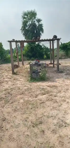 Arulmigu Kailasanthar Temple, Near Street, Edur - 601201 அருள்மிகு கைலாசநாதர் திருக்கோயில், Near Street, ஏடூர் - 601201, Tiruvallur - Ancient Temple Architecture and History Image 2