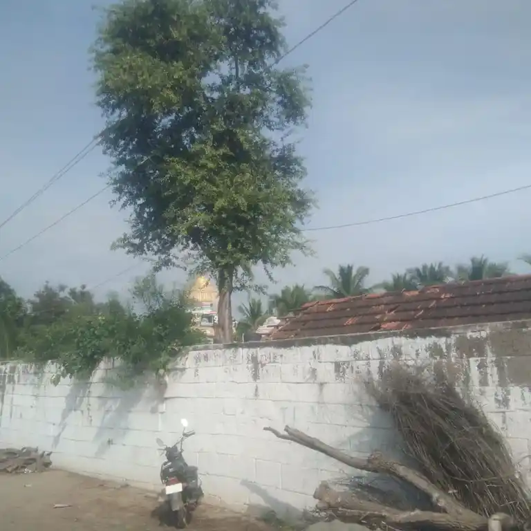 Arulmigu Kailashanathar Temple, Thazhuthazhai - 621103 அருள்மிகு கைலாசநாதர் திருக்கோயில், Thazhuthazhai - 621103, Perambalur - Ancient Temple Architecture and History Image 3