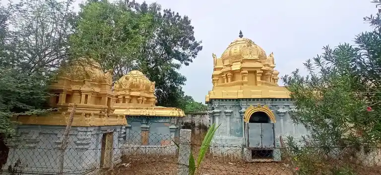 Arulmigu Kalagastheswarar Temple, Pamani - 614711 அருள்மிகு காளகஸ்தீஸ்வரர் சுவாமி திருக்கோயில், Pamani - 614711, Thiruvarur - Ancient Temple Architecture and History Image 5