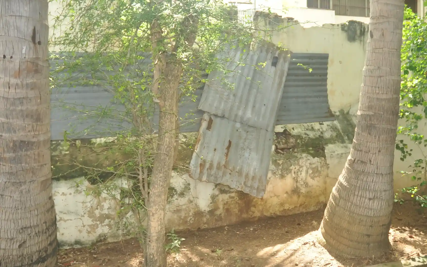 Arulmigu Kalahastheeswara Swamy Temple, Kumbakonam - 612001 அருள்மிகு காளஹஸ்தீஸ்வரர்சுவாமி திருக்கோயில், கும்பகோணம் - 612001, Thanjavur - Ancient Temple Architecture and History Image 2