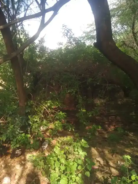 Arulmigu Kalakastheeswarar Temple, Periyakannamangalam - 610101 Temple