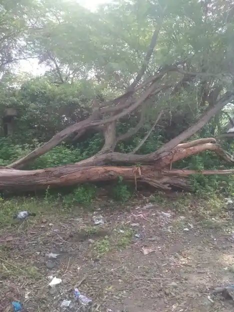 Arulmigu Kalakastheeswarar Temple, Periyakannamangalam - 610101 அருள்மிகு காளஹஸ்தீஸ்வரர் திருக்கோயில், Periyakannamangalam - 610101, Nagapattinam - Ancient Temple Architecture and History Image 5