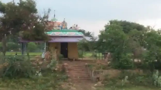 Arulmigu Kalakasthevinayagar Temple, Nagudi - 614616 அருள்மிகு காளஹஸ்தி விநாயகர் திருக்கோயில், நாகுடி, அறந்தாங்கி வட்டம் - 614616, Pudukkottai - Ancient Temple Architecture and History Image 4