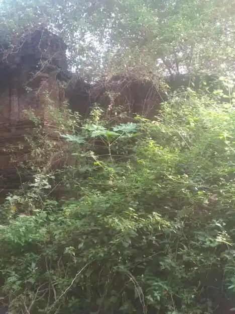 Arulmigu Kalamega Perumal Temple, Kottarakkudi - 610101 அருள்மிகு காளமேகப்பெருமாள் திருக்கோயில், Kottarakkudi - 610101, Nagapattinam - Ancient Temple Architecture and History Image 2
