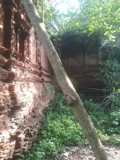 Arulmigu Kalamega Perumal Temple, Kottarakkudi - 610101 அருள்மிகு காளமேகப்பெருமாள் திருக்கோயில், Kottarakkudi - 610101, Nagapattinam - Ancient Temple Architecture and History Image 3