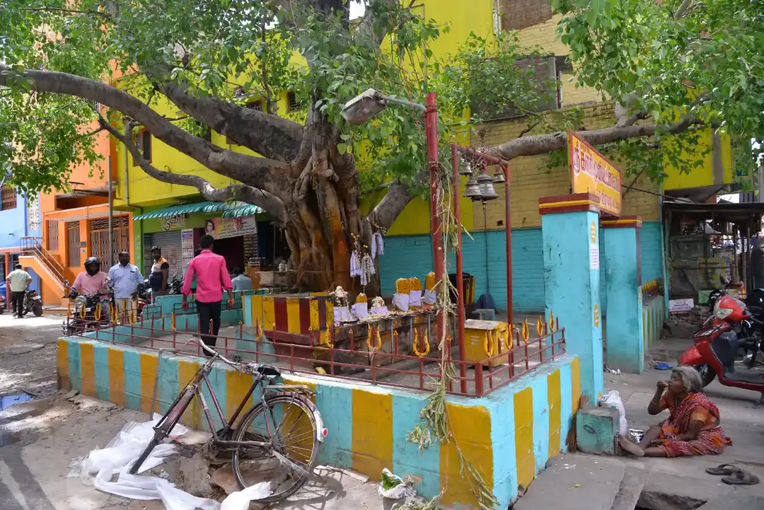 Arulmigu Kalarimuniyapper Temple, Kallakurichi - 606107 Arulmigu Kalarimuniyapper Temple, Kallakurichi - 606107, Kallakurichi - Ancient Temple Architecture and History Image 2