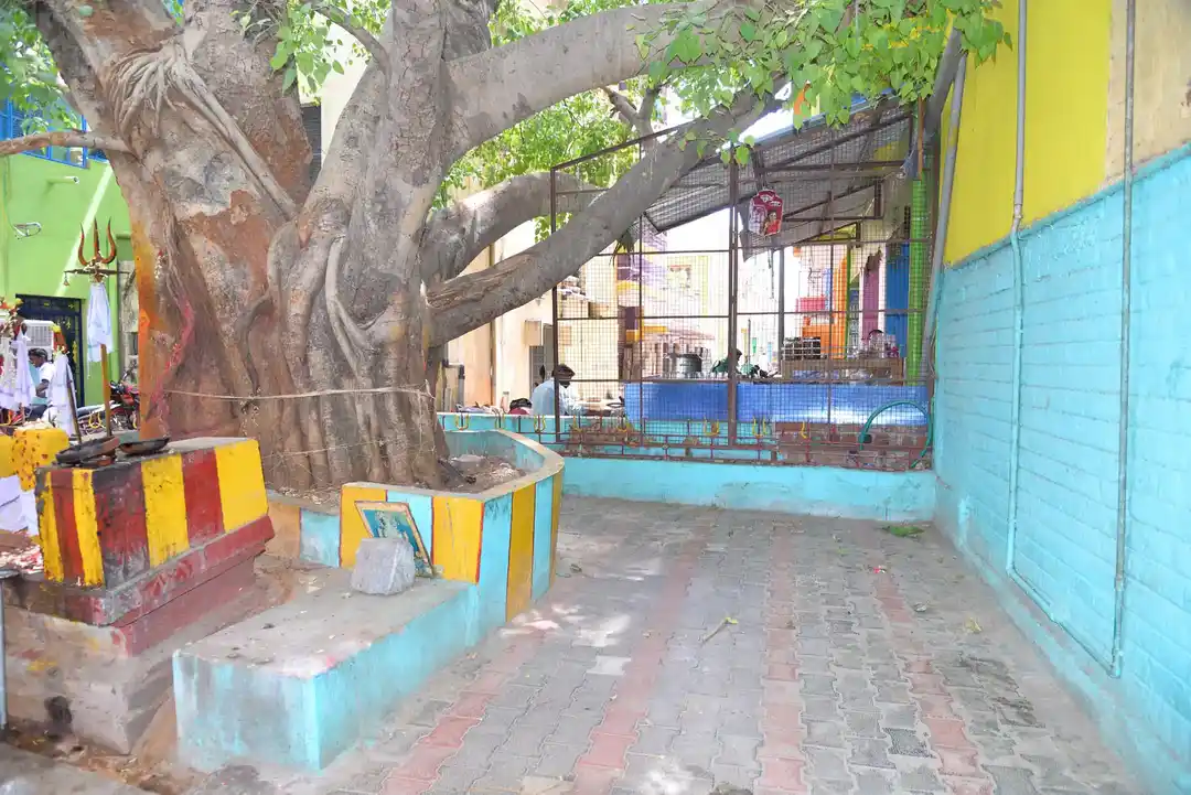 Arulmigu Kalarimuniyapper Temple, Kallakurichi - 606107 Arulmigu Kalarimuniyapper Temple, Kallakurichi - 606107, Kallakurichi - Ancient Temple Architecture and History Image 3