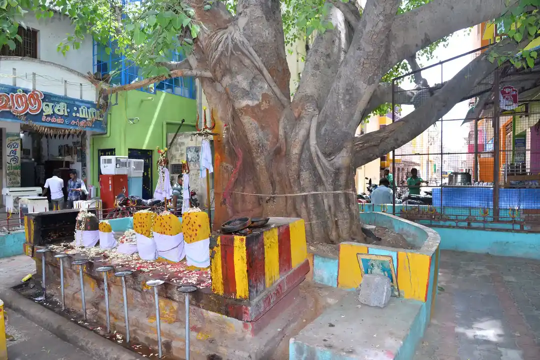 Arulmigu Kalarimuniyapper Temple, Kallakurichi - 606107 Arulmigu Kalarimuniyapper Temple, Kallakurichi - 606107, Kallakurichi - Ancient Temple Architecture and History Image 4