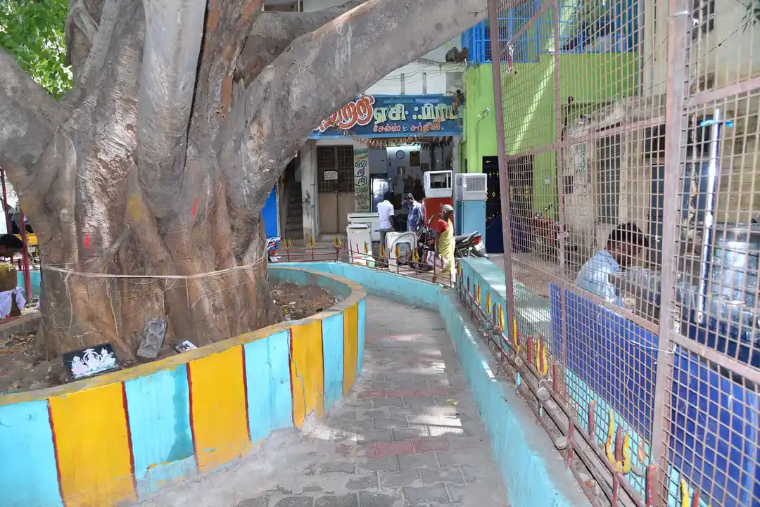 Arulmigu Kalarimuniyapper Temple, Kallakurichi - 606107 Arulmigu Kalarimuniyapper Temple, Kallakurichi - 606107, Kallakurichi - Ancient Temple Architecture and History Image 5