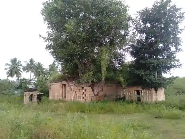 Arulmigu Kalashthirinathar Temple, A.Thekkoor - 630201 அருள்மிகு. காலத்திரிநாதர் திருக்கோயில், A.Thekkoor - 630201, Sivagangai - Ancient Temple Architecture and History Image 5