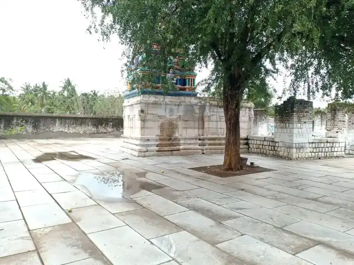 Arulmigu Kalatheeswarar Temple, Kalampalayam - 641104 அருள்மிகு காளத்தீஸ்வரர் திருக்கோயில், Kalampalayam - 641104, Coimbatore - Ancient Temple Architecture and History Image 4