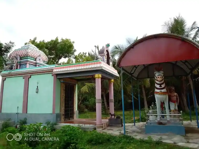 Arulmigu Kaleeswarar Ayyanar Vagaiara Temple, Vasthirarapuram - 609405 அருள்மிகு காளீஸ்வரர் திருக்கோயில், Vasthirarapuram - 609405, Thiruvarur - Ancient Temple Architecture and History Image 4