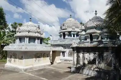 Arulmigu Kaleeswarar Swamy Temple, Villiyanallur - 609801 அருள்மிகு காளீஸ்வரசுவாமி திருக்கோயில், வில்லியநல்லூர் - 609801, Mayiladuthurai - Ancient Temple Architecture and History Image 4