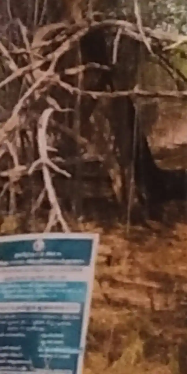 Arulmigu Kali Temple, Kannayiranendal - 623505