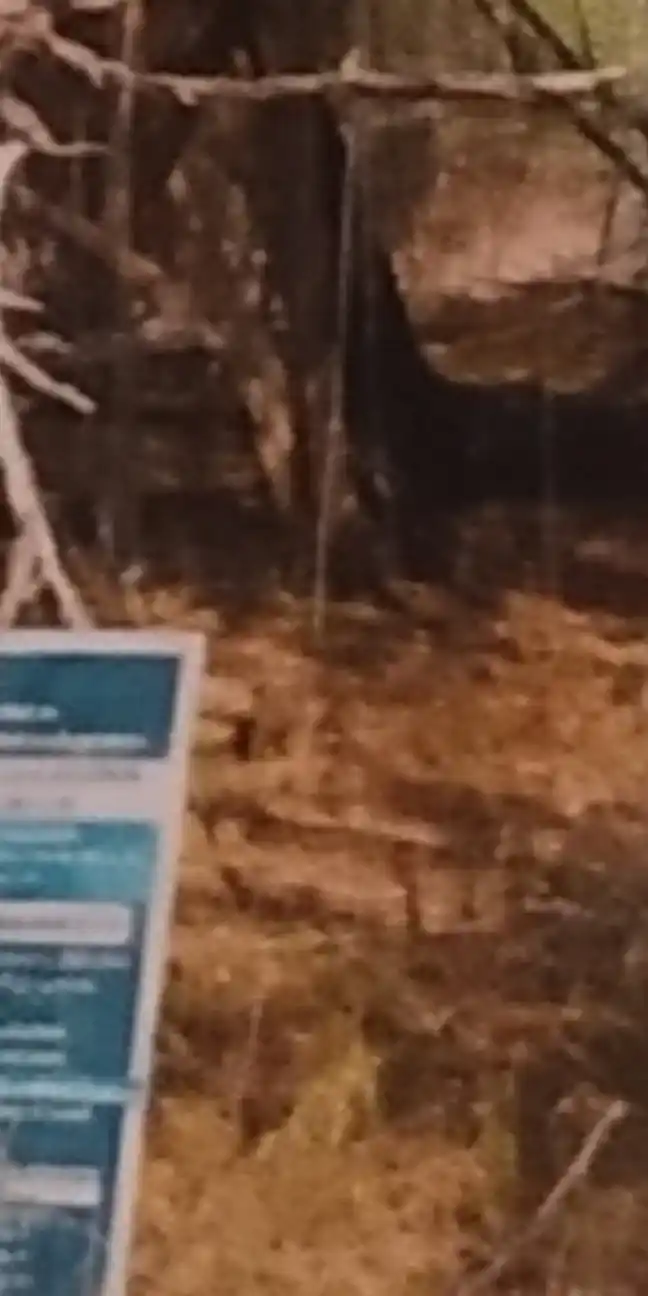 Arulmigu Kali Temple, Kannayiranendal - 623505 அருள்மிகு. காளிகோயில், கண்ணாரேந்தல் கோயில், Kannayiranendal - 623505, Ramanathapuram - Ancient Temple Architecture and History Image 4