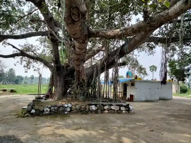 Arulmigu Kaliammam Temple, Jambukuttappatti - 635206 அருள்மிகு காளியம்மன் திருக்கோயில், Jambukuttappatti - 635206, Krishnagiri - Ancient Temple Architecture and History Image 2