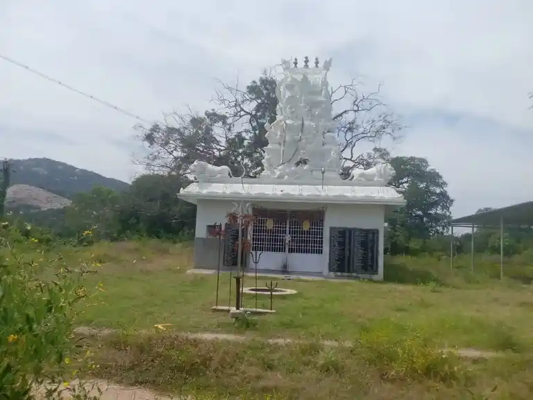Arulmigu Kaliammam Temple, Oppathavadi - 635104 அருள்மிகு காளியம்மன் திருக்கோயில், ஒப்பதவாடி - 635104, Krishnagiri - Ancient Temple Architecture and History Image 3