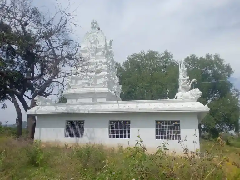 Arulmigu Kaliammam Temple, Oppathavadi - 635104 அருள்மிகு காளியம்மன் திருக்கோயில், ஒப்பதவாடி - 635104, Krishnagiri - Ancient Temple Architecture and History Image 4