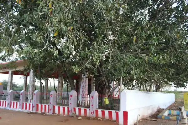 Arulmigu Kaliamman and Mariamman Temple, Village West Side, Kuppakurichi - 627351 அருள்மிகு காளியம்மன் மற்றும் மாரியம்மன் திருக்கோயில், ஊரின் மேற்கு பகுதி, குப்பக்குறிச்சி - 627351, Tirunelveli - Ancient Temple Architecture and History Image 4