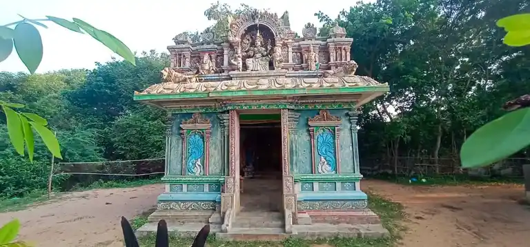 Arulmigu Kaliamman Drowpathiamman Temple, Keezharuthragangai - 609503 அருள்மிகு காளியம்மன் திரௌபதியம்மன் திருக்கோயில், Keezharuthragangai - 609503, Thiruvarur - Ancient Temple Architecture and History Image 4