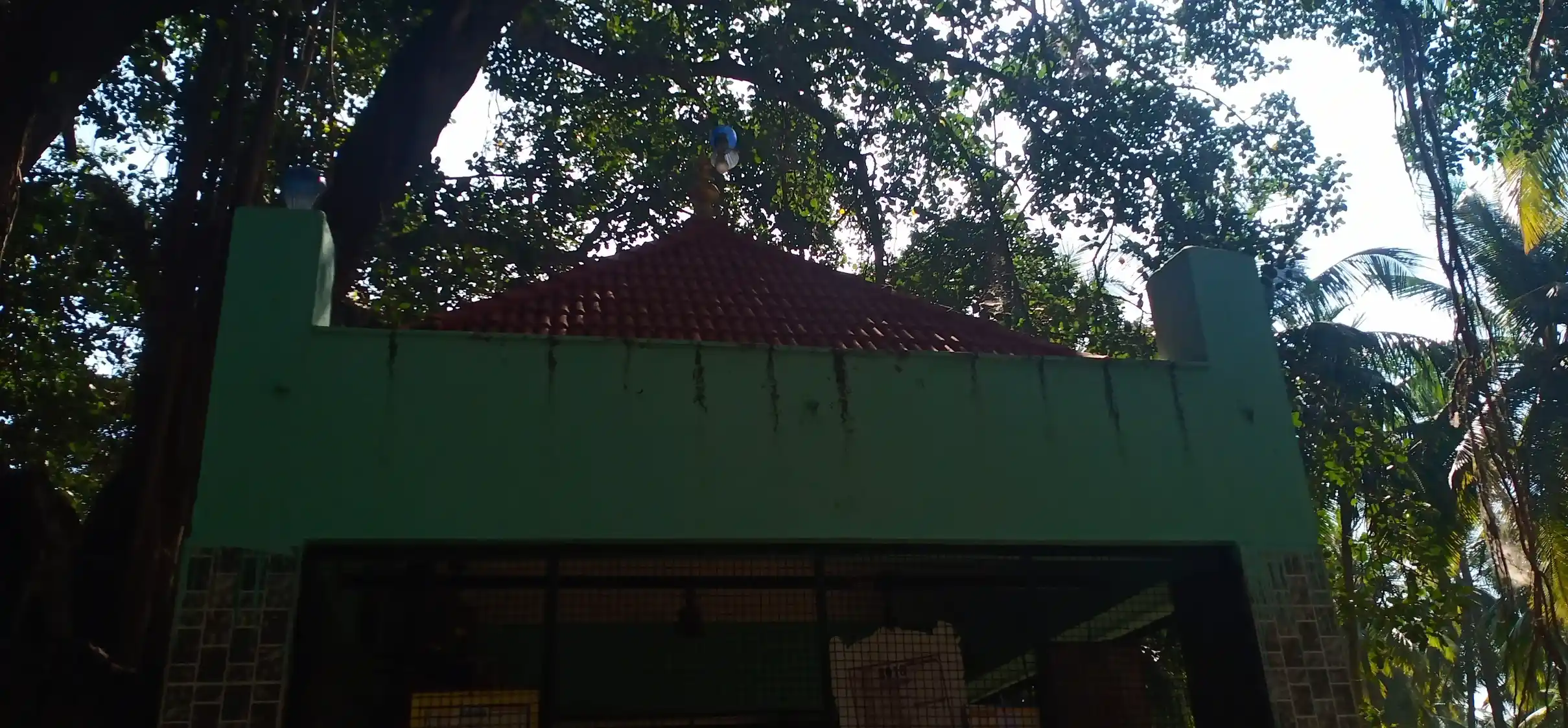 Arulmigu Kaliamman Muthallamman Sadayandi Temple, Akkaraipatti - 624701 அருள்மிகு காளியம்மன், முத்தாளம்மன், சடையாண்டி வகையறா திருக்கோயில், அக்கறைப்பட்டி - 624701, Dindigul - Ancient Temple Architecture and History Image 3