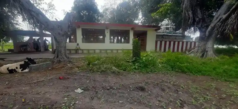 Arulmigu Kaliamman Temple, Adamankottai - 636807 அருள்மிகு காளியம்மன் திருக்கோயில், அதியமான்கோட்டை - 636807, Dharmapuri - Ancient Temple Architecture and History Image 4